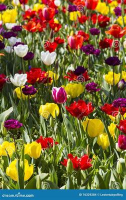 耒陽網頁游戲充值平臺代理代理國戰手游